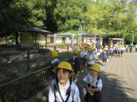 s-IMG_0084