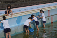 s-DSC02366