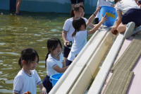 s-DSC02369