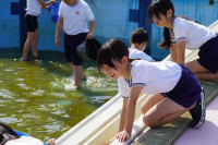 s-DSC02370