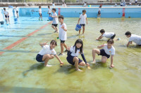 s-DSC02392