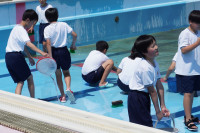s-DSC02396