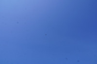 s-DSC03955