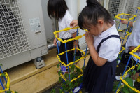 s-DSC04068