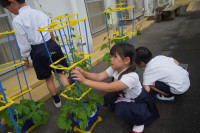 s-DSC04072