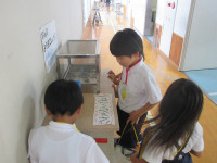 s-IMG_1046