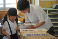 s-DSC04939