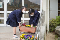 s-DSC02949