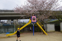 s-DSC03197
