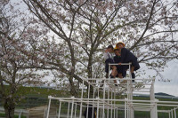 s-DSC03195