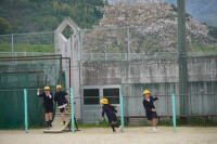 s-DSC03202