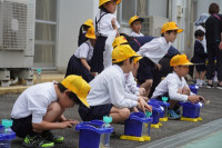 s-DSC03907