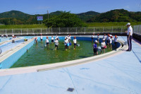 s-DSC03995