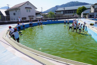 s-DSC03997