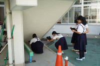 s-DSC05198
