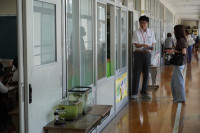 s-DSC05256