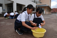 s-DSC_0285
