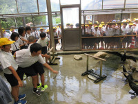 s-IMG_0741