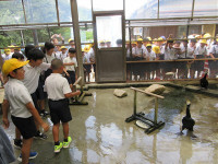 s-IMG_0740