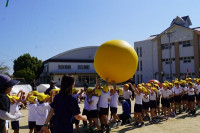s-DSC07839