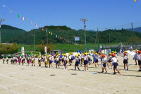 s-DSC07851