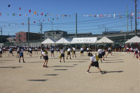 s-IMG_1493