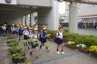 s-DSC02184
