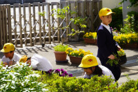 s-DSC02299