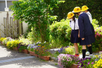 s-DSC02298