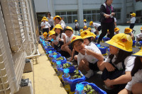 s-DSC02726