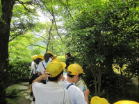 s-IMG_3388