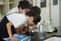 s-DSC02905