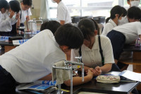 s-DSC02906