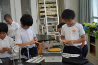 s-DSC03525