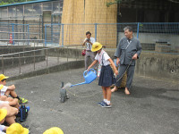 s-IMG_3700