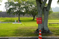 s-DSC04518