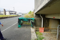 s-DSC04523