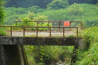 s-DSC04533