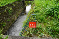 s-DSC04534