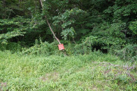 s-DSC04537