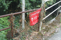 s-IMG_3411