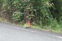 s-IMG_3419