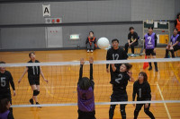 s-DSC05384