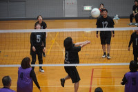 s-DSC05386