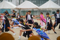 s-DSC06434