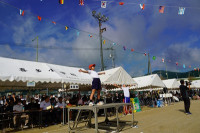 s-DSC06509