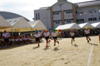 s-DSC06528