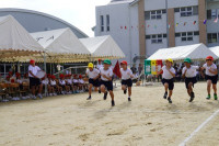 s-DSC06532