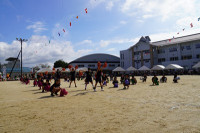 s-DSC06655