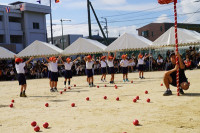 s-DSC06699